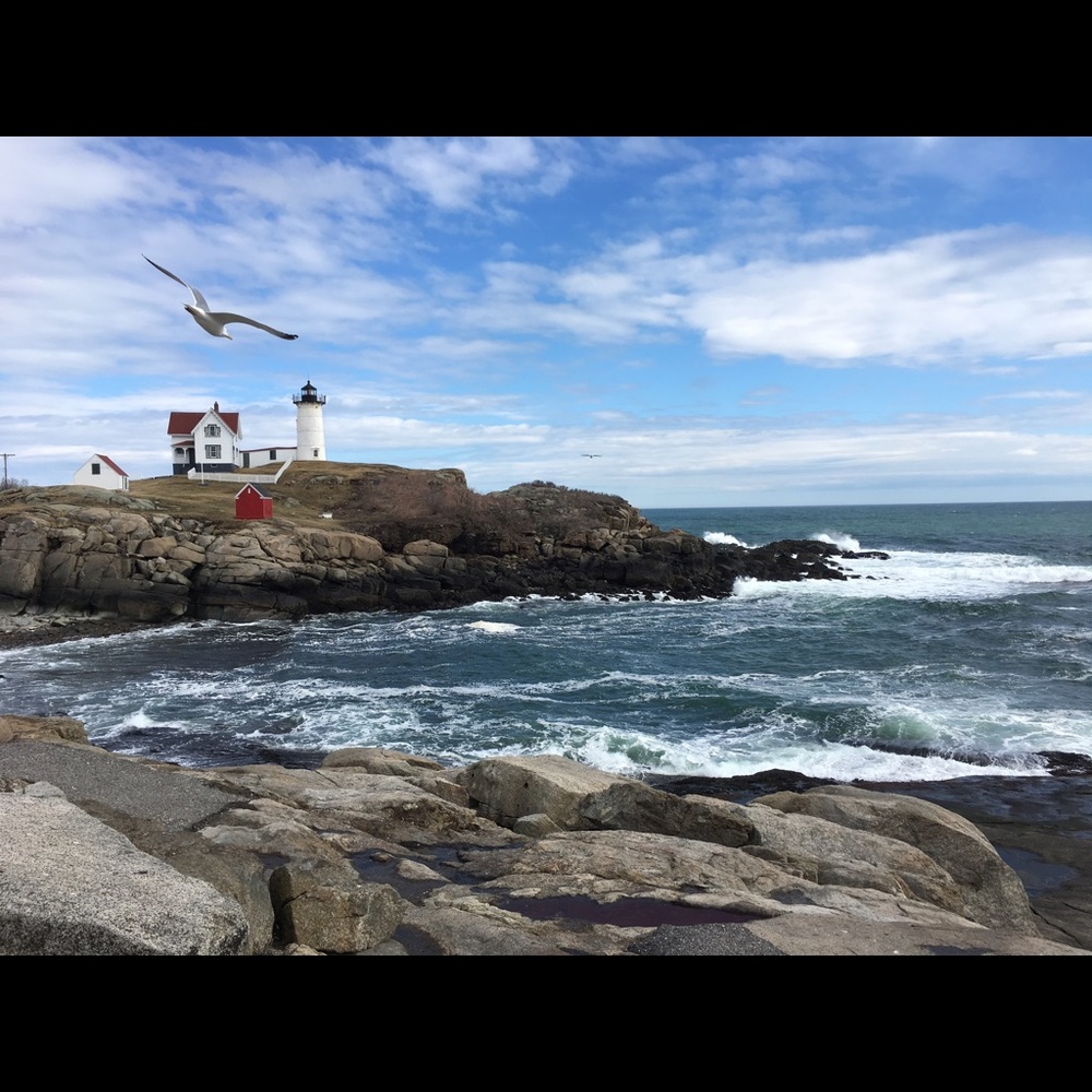 Meet your Posher, Kelli