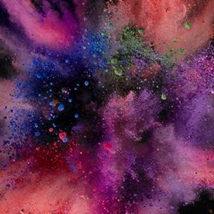 Meet your Posher, Lacey