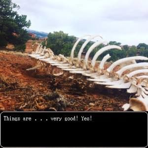 Meet your Posher, Grace