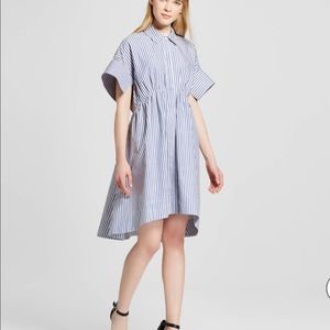 Victoria Beckham for Target Poplin Striped Dress
