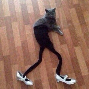 Meet your Posher, Jaden