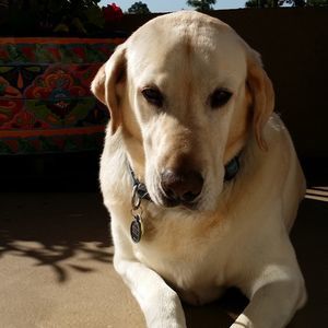 Meet your Posher, Cynthia