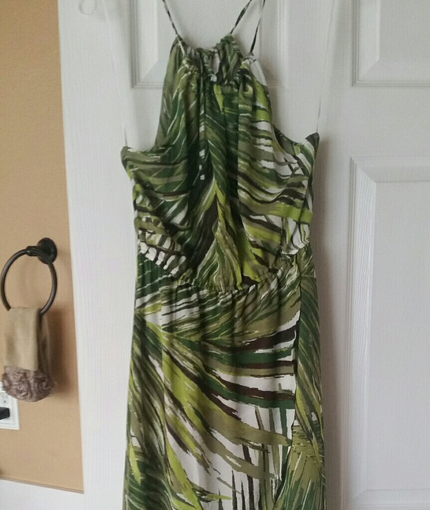 Charming Charlie Tropical Maxi Dress