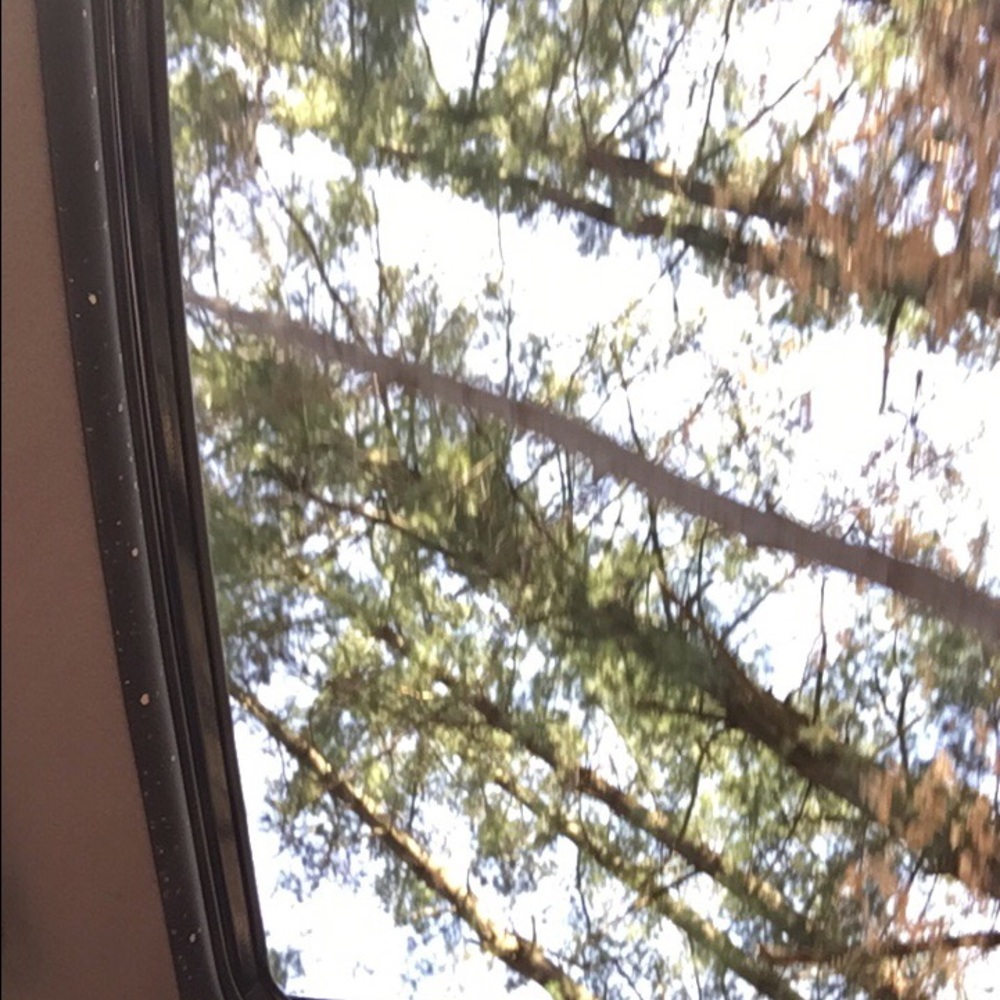 Meet your Posher, Kaela