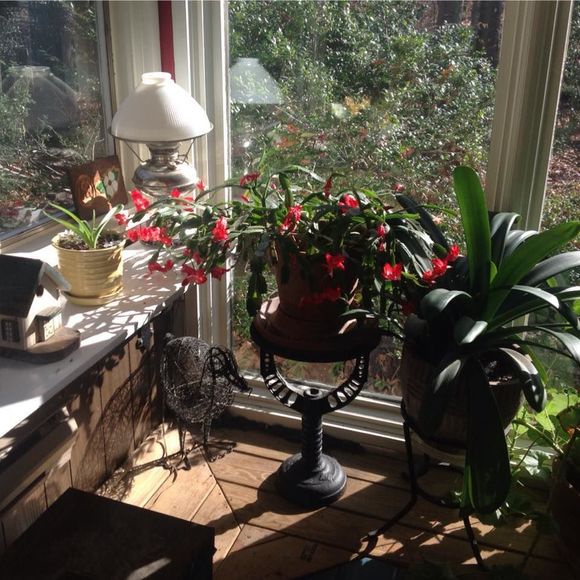 Meet your Posher, Yvonne - Picture 1 of 1