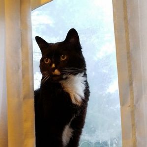 Meet your Posher, Morgan