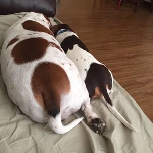 Meet your Posher, Leslie