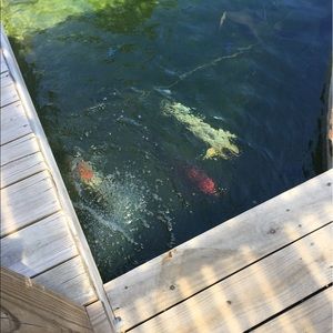 Meet your Posher, Xuxu