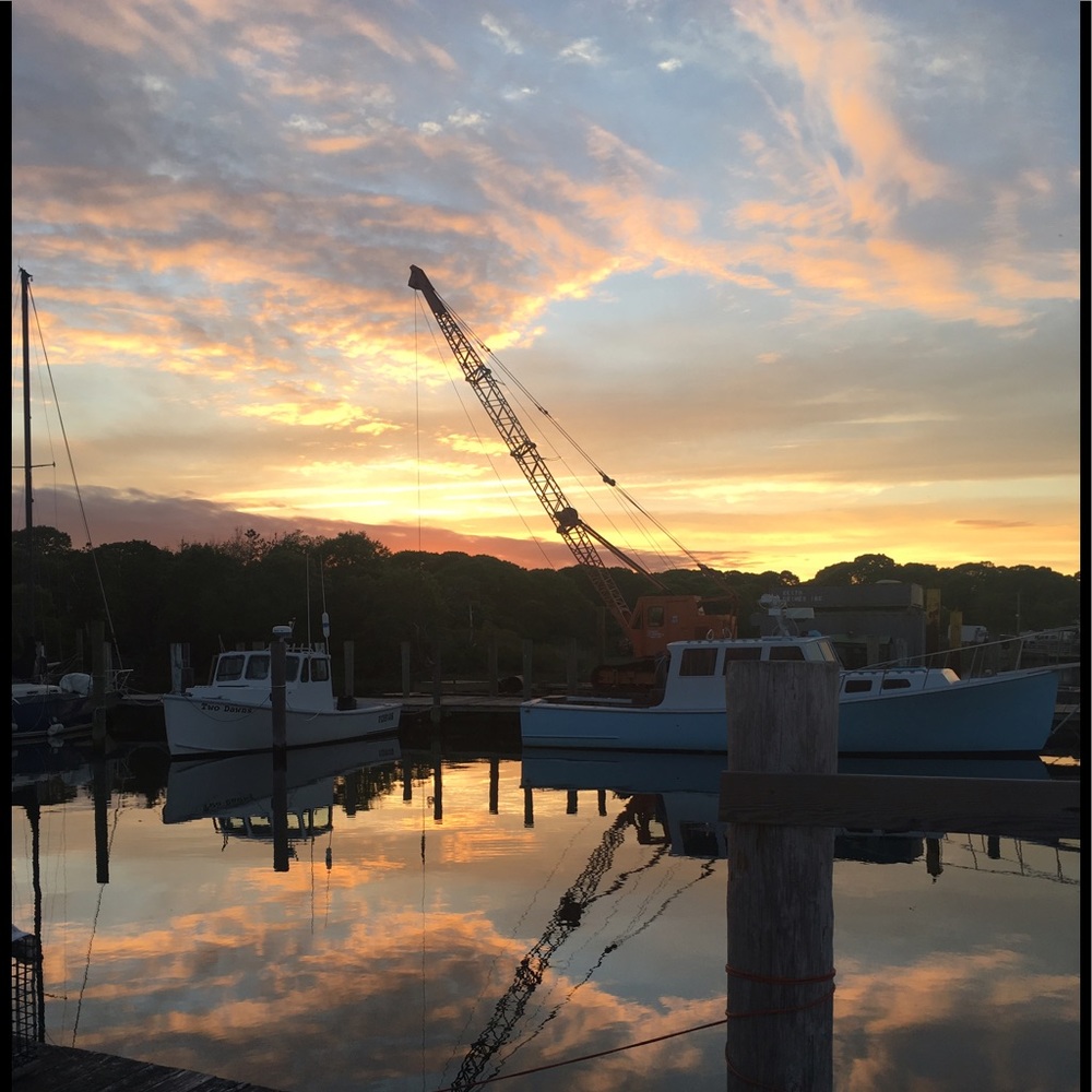 Meet your Posher, Gretchen