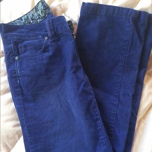 Prana blue cords