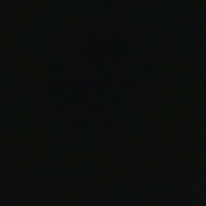 Meet your Posher, Penny