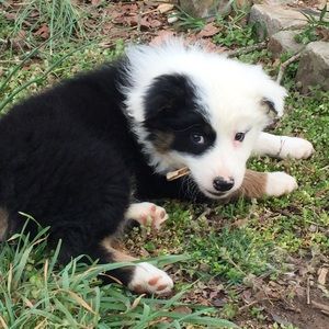 White dress for Aimee