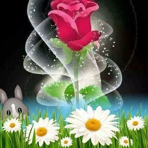 Meet your Posher, Teresa