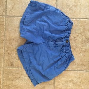 Royal Blue Chubbies Shorts