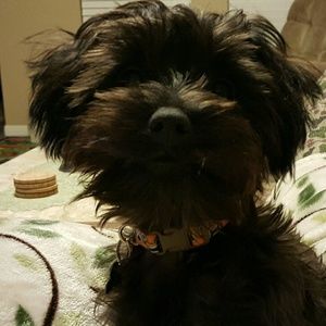 Meet your Posher, Ashly