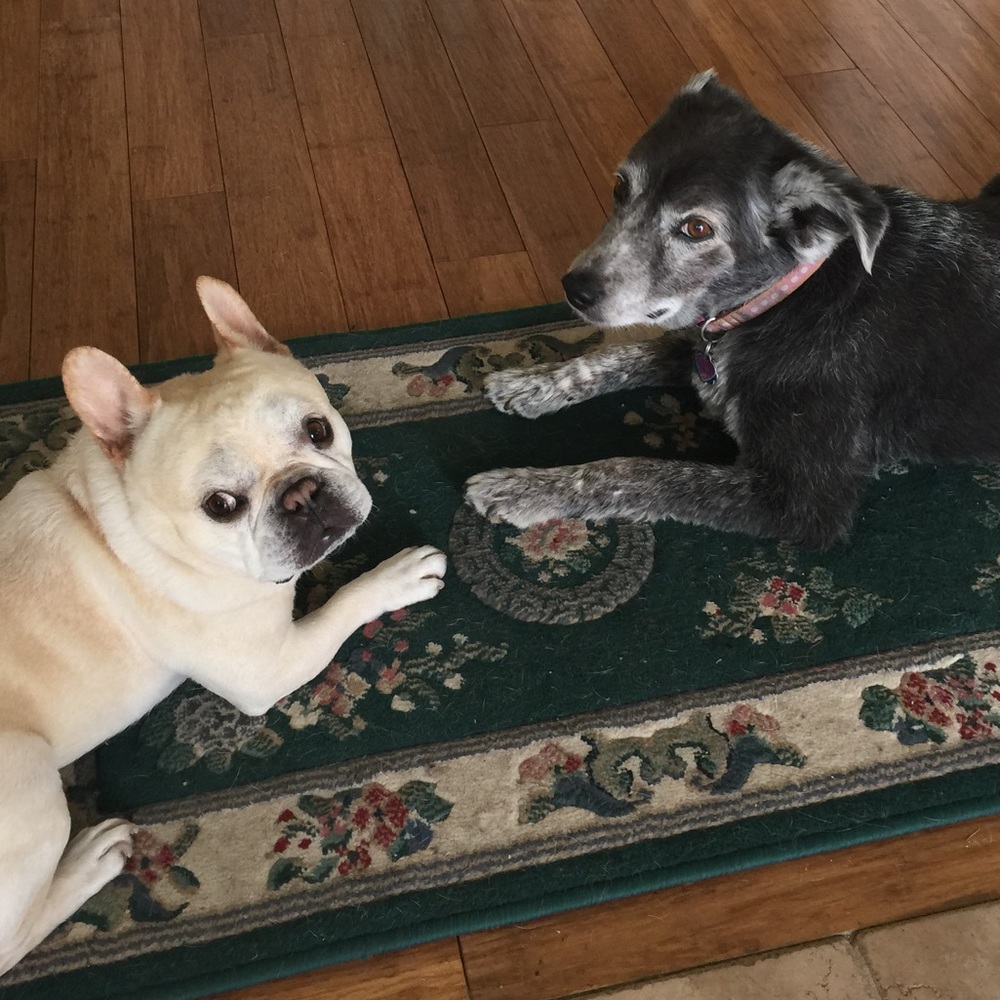 Meet your Posher, Lea