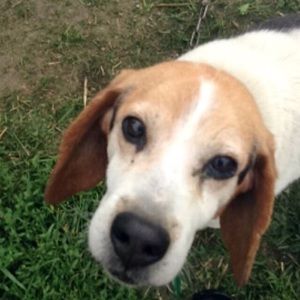 Meet your Posher, Brooke