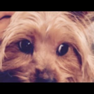 Meet your Posher, Yvette