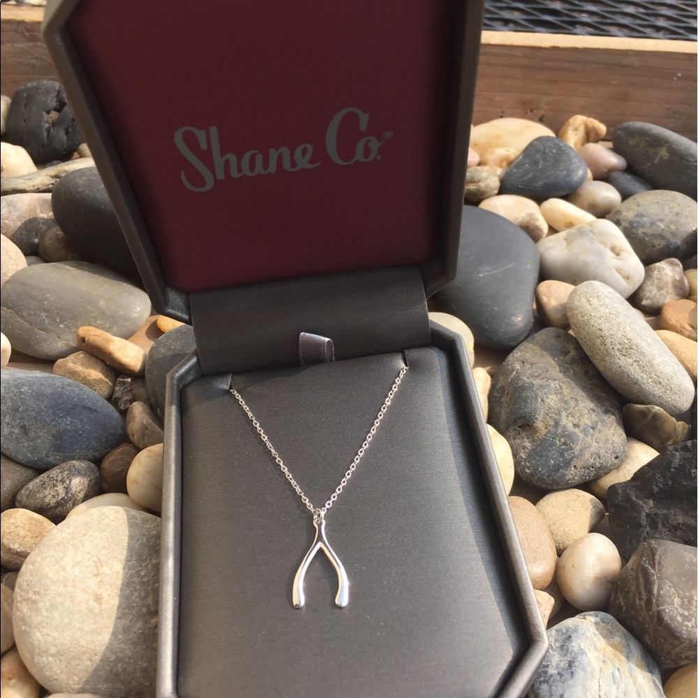 Wish bone necklace