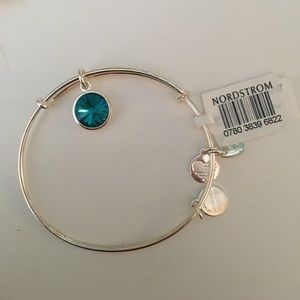 Alex and Ani Silver Birthstone bracelet