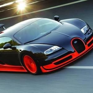 Meet your Posher, Luis