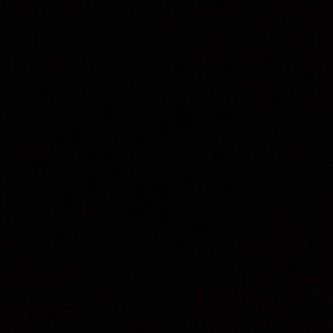 Meet your Posher, Darrell