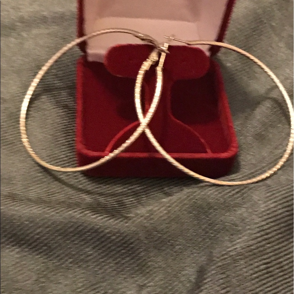3 inch silver rope design earrings