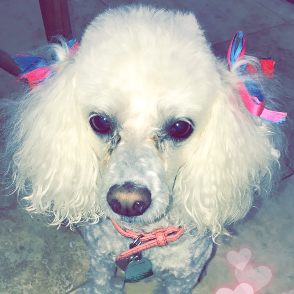 Meet your Posher, Brianne