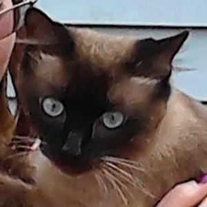 Meet your Posher, Carolyn