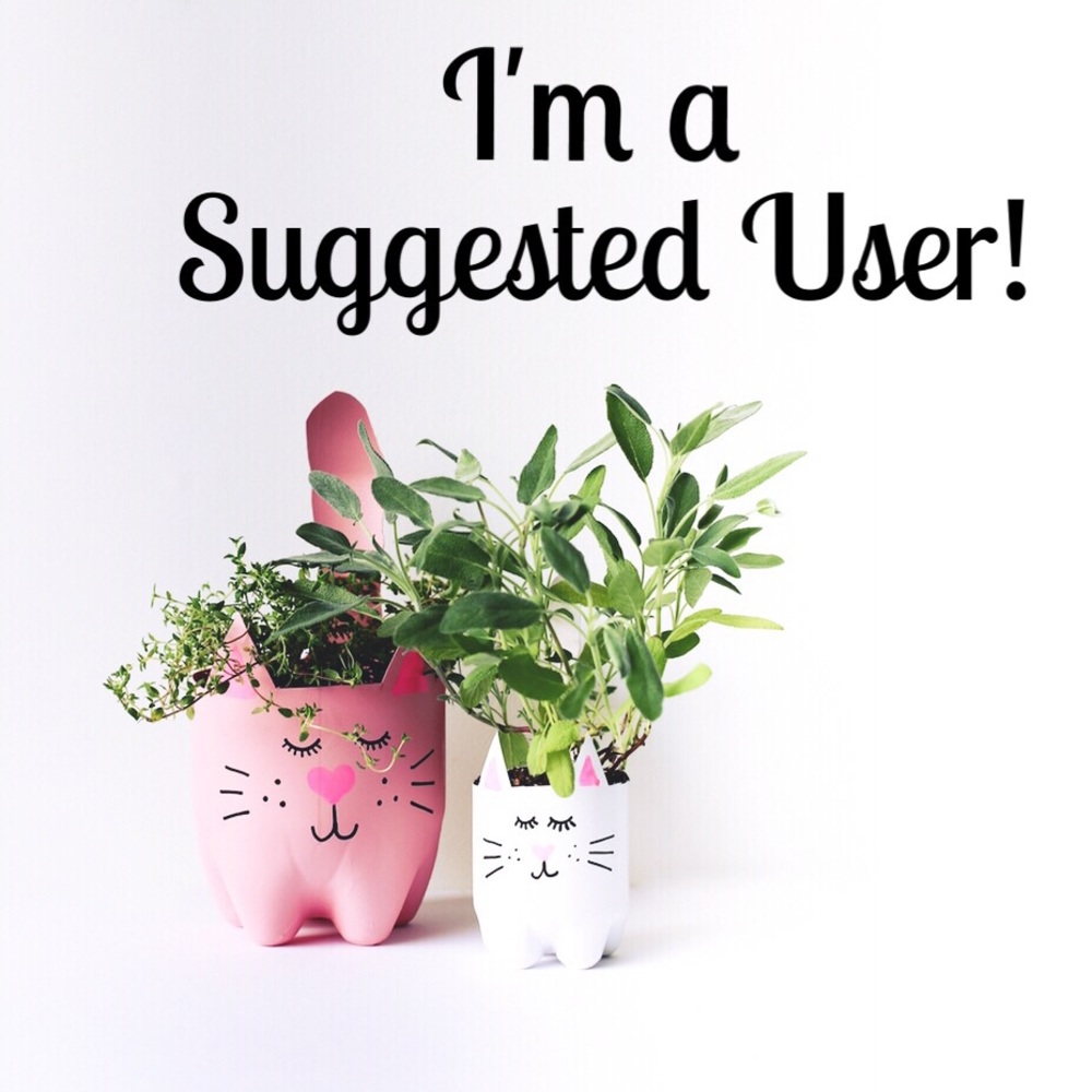 🌵s u g g e s t e d  u s e r🌵