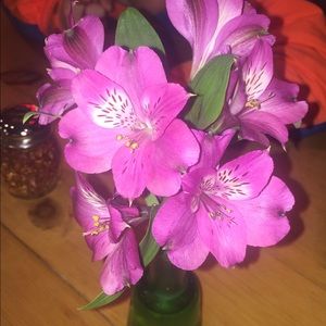 Meet your Posher, Sylvia