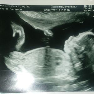 Meet your Posher, Perla