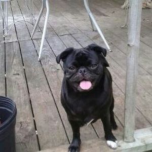 Meet your Posher, Kim