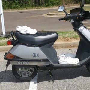 Meet your Posher, Riley