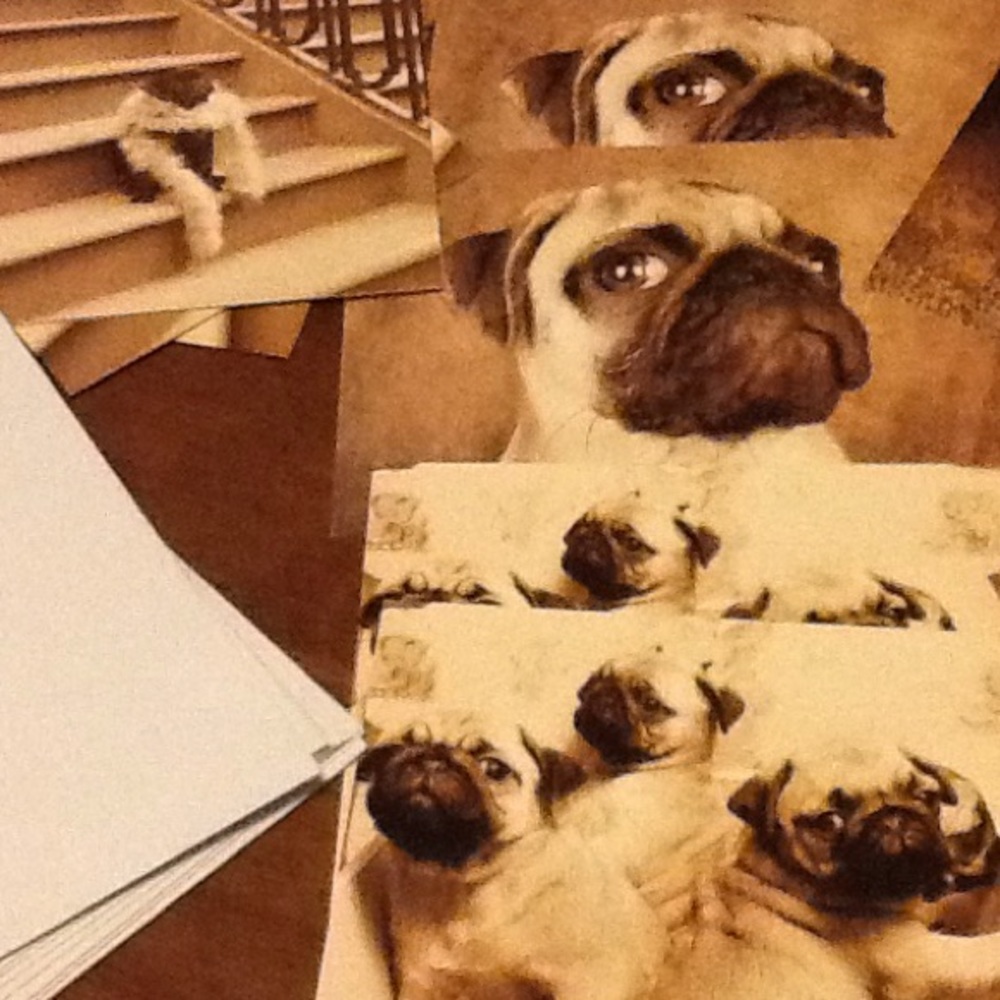 Pug Greeting Cards..Blank Inside