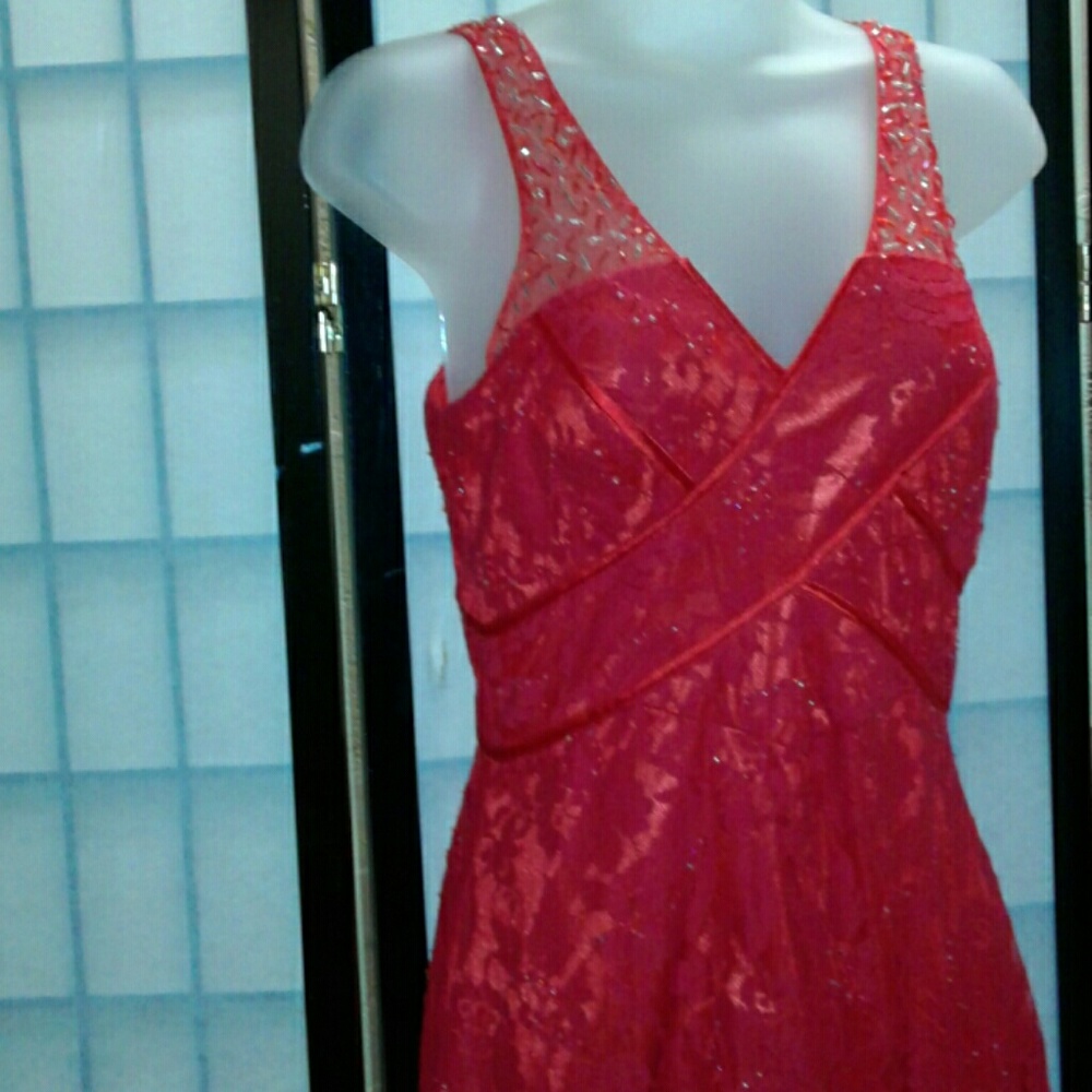 Lady In Red Lacey Dress