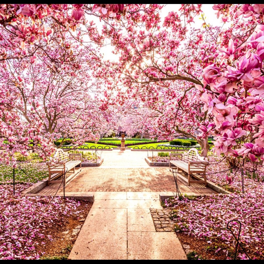 Meet your Posher, Isabel