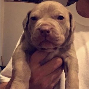 Meet your Posher, Fernando