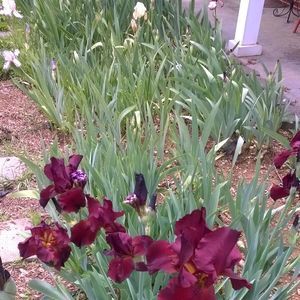 Meet your Posher, Lynn