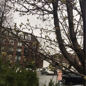 Meet your Posher, Mena