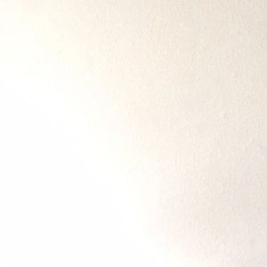 Meet your Posher, Destiny