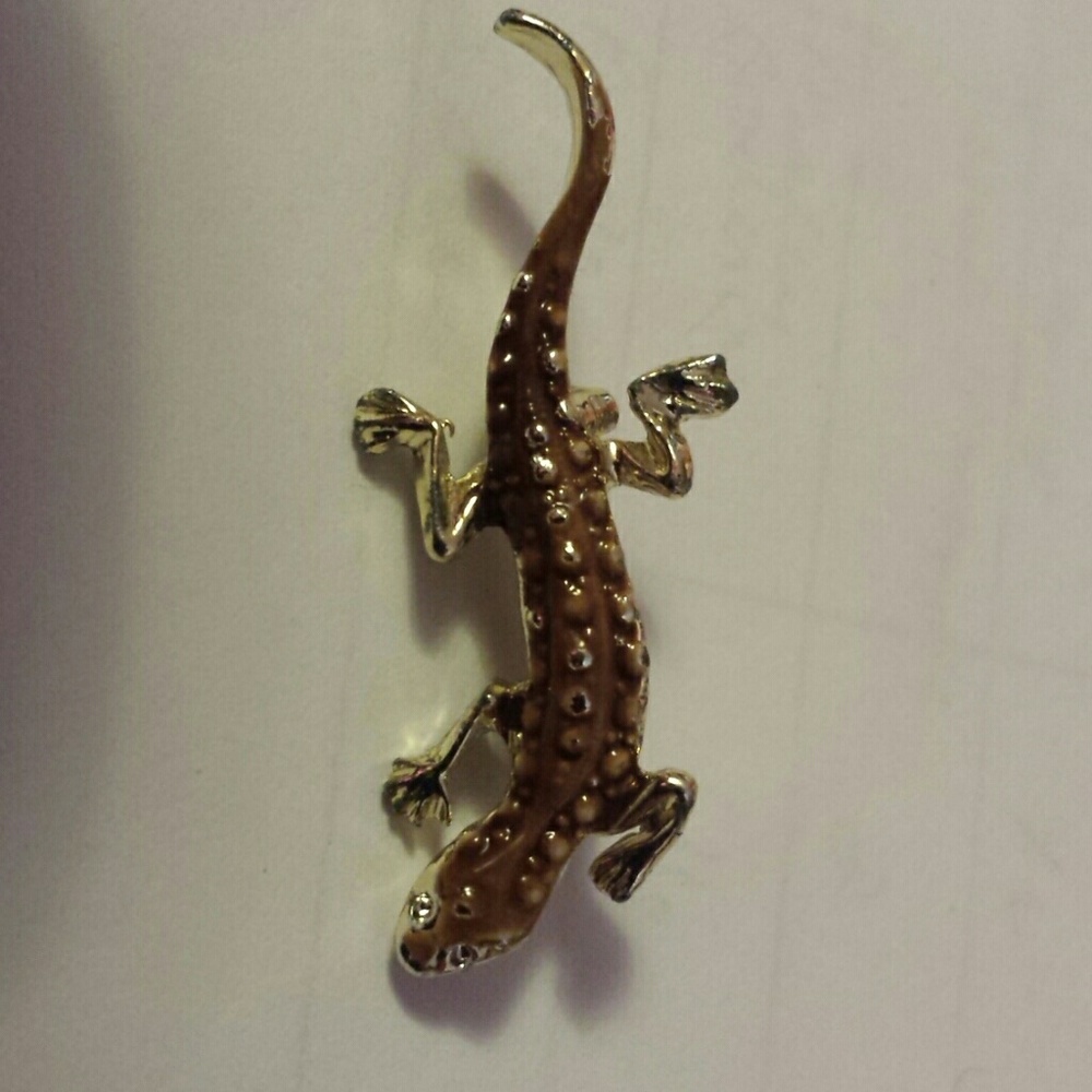 Adorable Lizard Pin