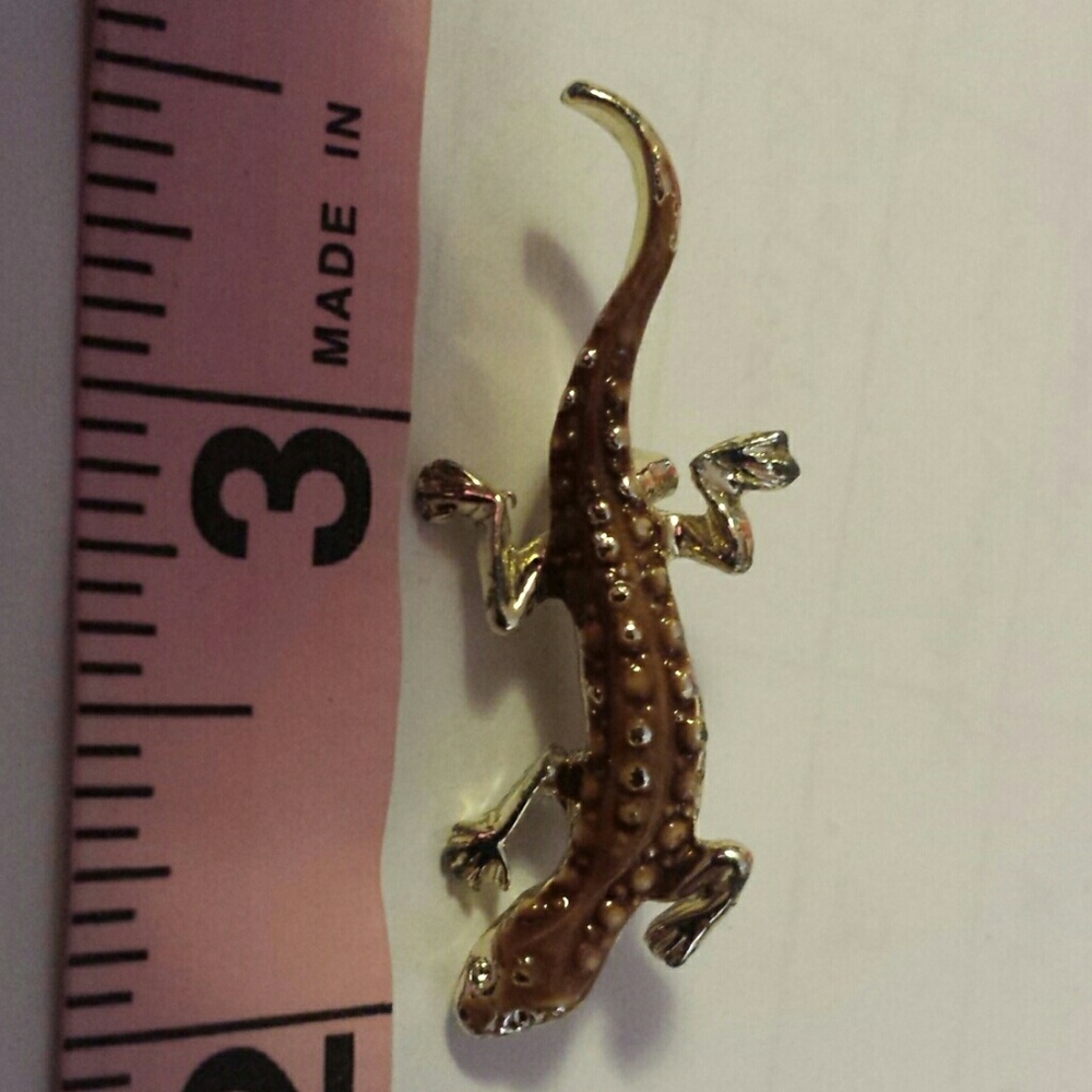 Adorable Lizard Pin - Picture 2 of 3