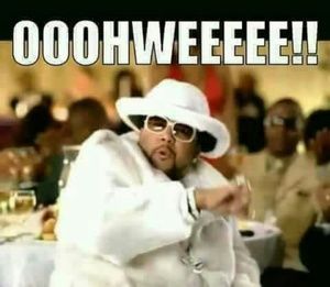 Meet your Posher, Kenny