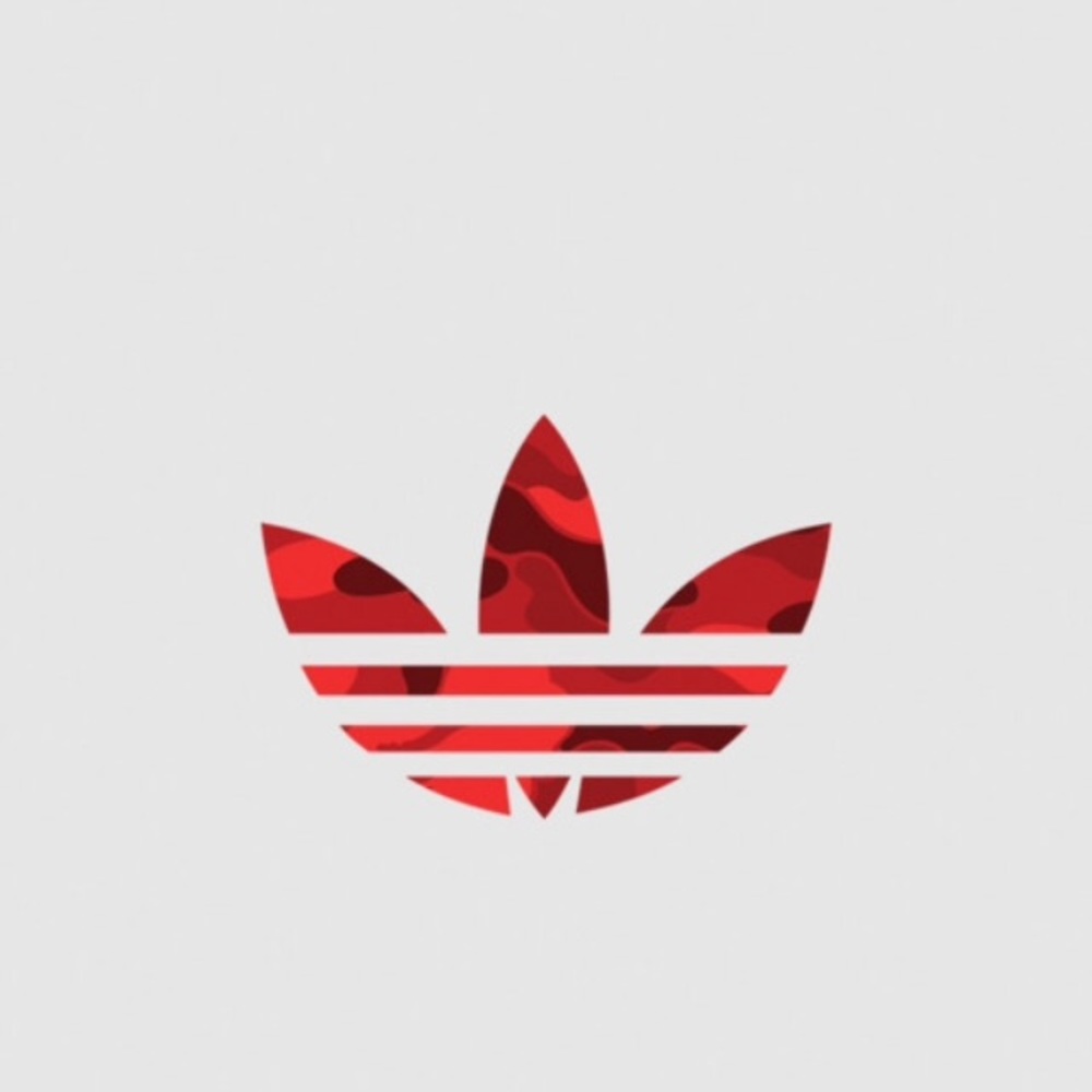 Meet your Posher, Caden