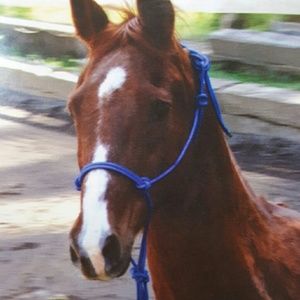 Meet your Posher, Angie