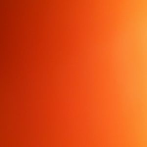 Meet your Posher, Dianne