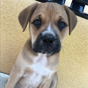 Meet your Posher, Caroline