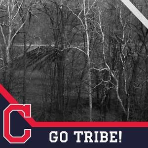 Meet your Posher, B.l.