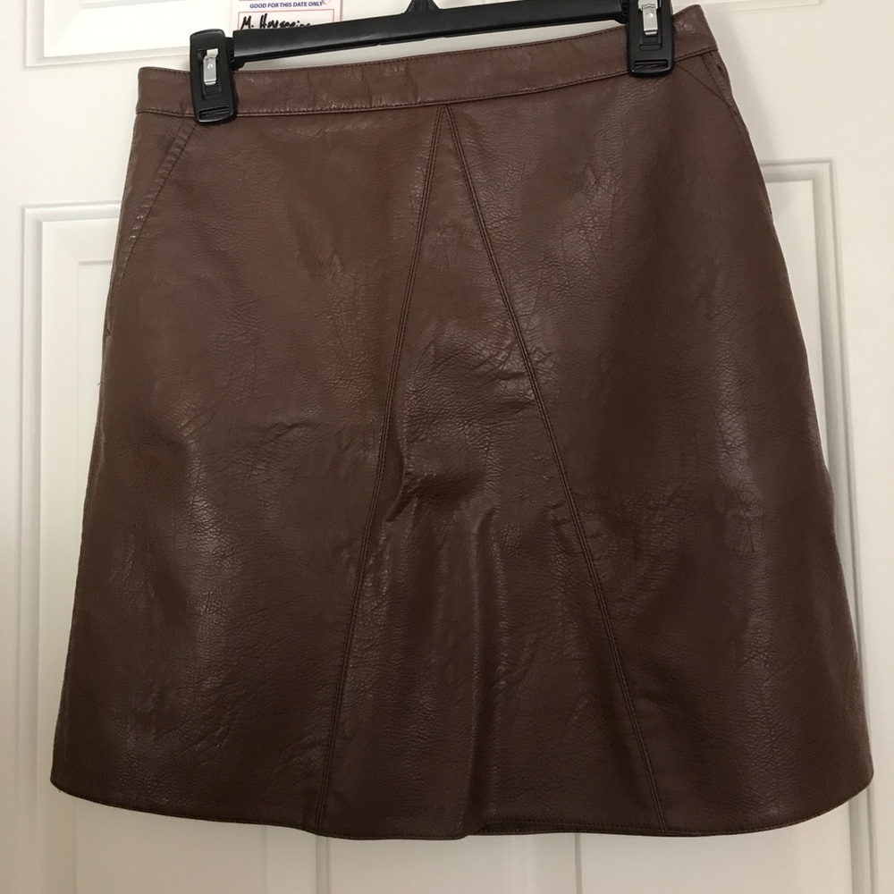 Zara Brown A Line Skirt